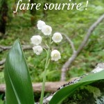 Muguet 1er Mai-page-001