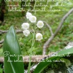 Muguet 1er Mai-page-002